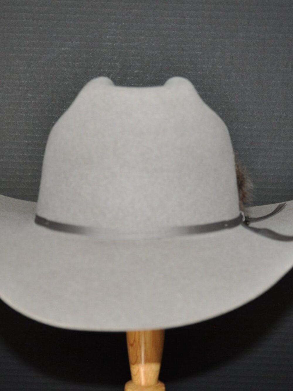Stetson Falcon - Picture 2 of 7